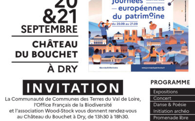 Journées Européennes du Patrimoine 2025, Château du Bouchet à Dry
